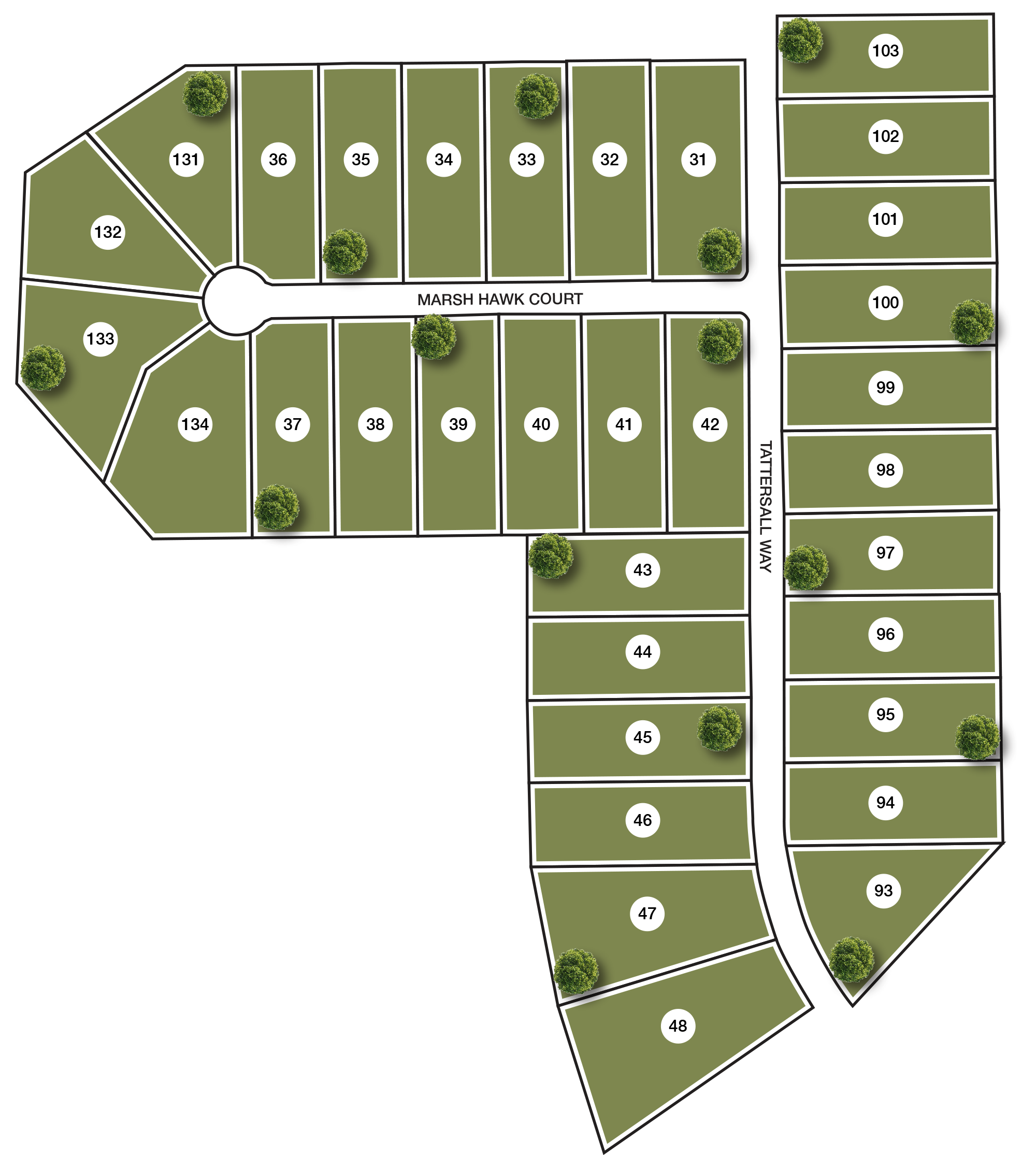 Fox Hall Phase IV Site Map